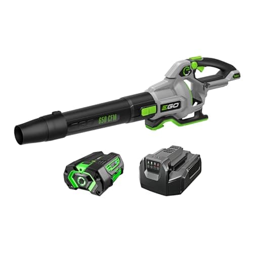 EGO 56V 650 CFM Leaf Blower Kit